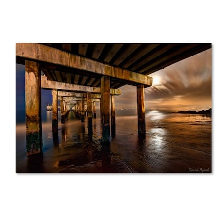 David Ayash 'Coney Island Pier By Moonlight' Canvas Art,12x19